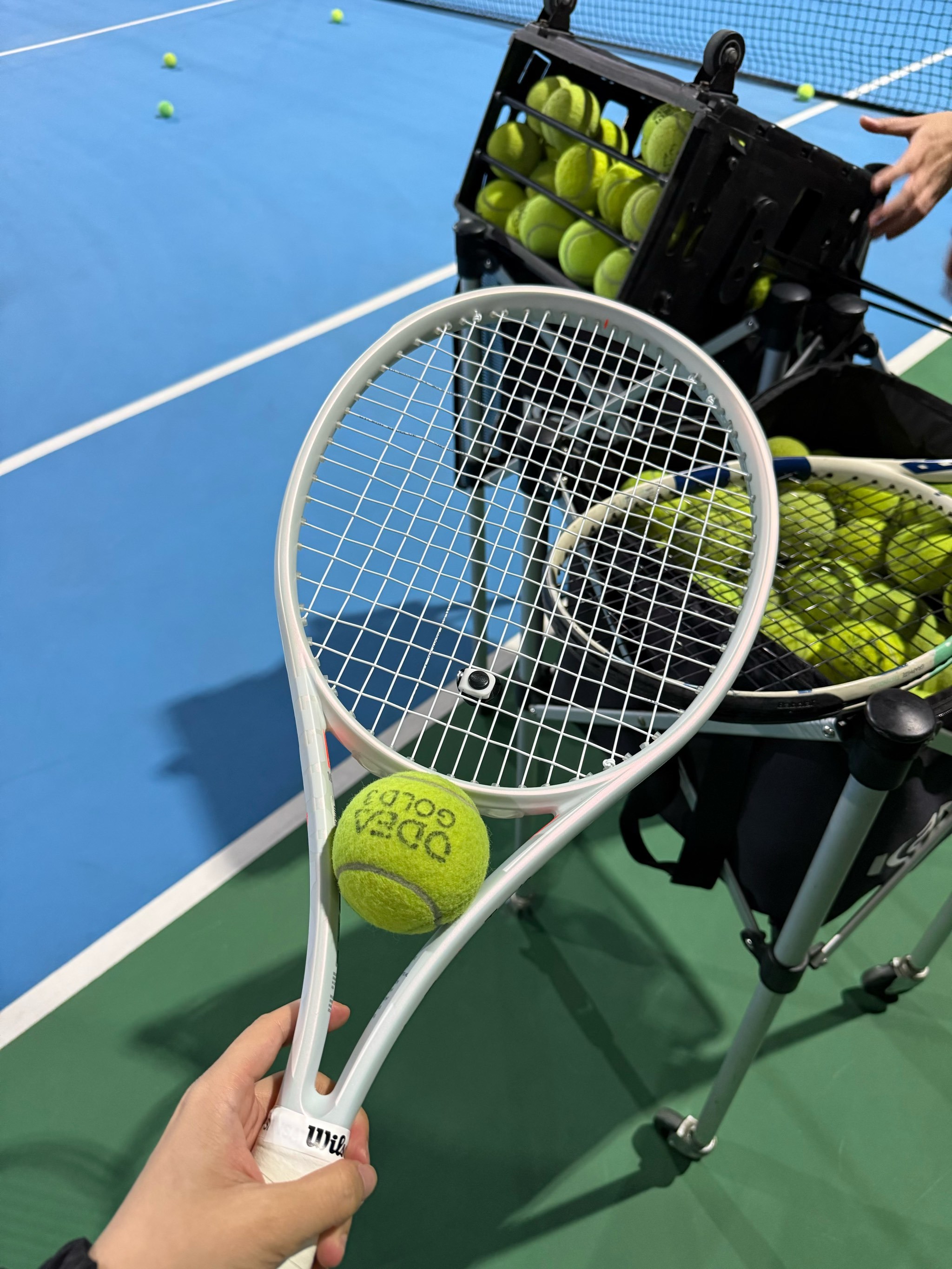 意志的体现 意志的体现