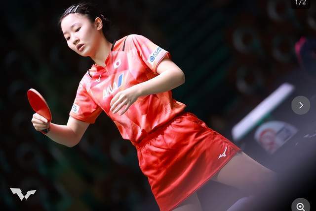 役意大利国 役意大利国