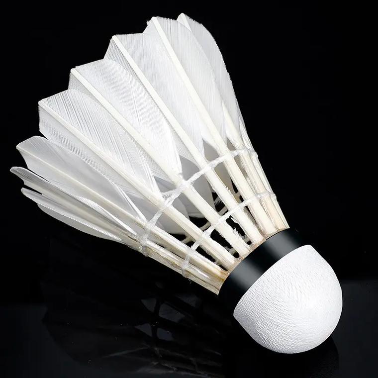 CCTV5拒播，江苏男篮对阵山东高速，蒋浩然PK郭凯，庞峥麟对阵高诗岩